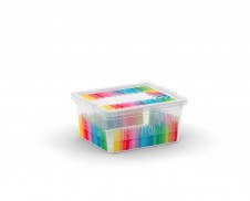 C Box s víkem XXS Colours